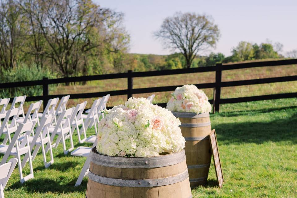 Wine Barrels