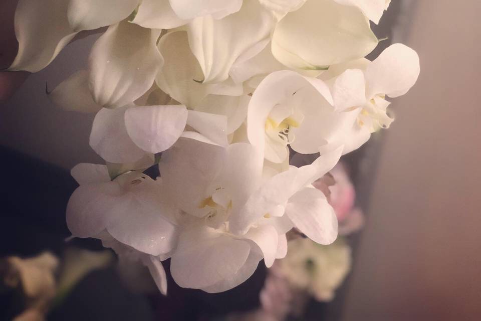 Cascading Calla and Orchid