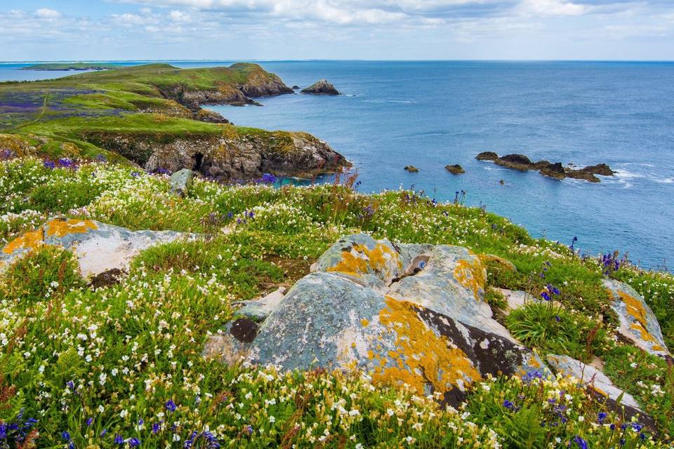 Irelands coast
