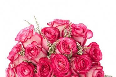 Blushing roses
