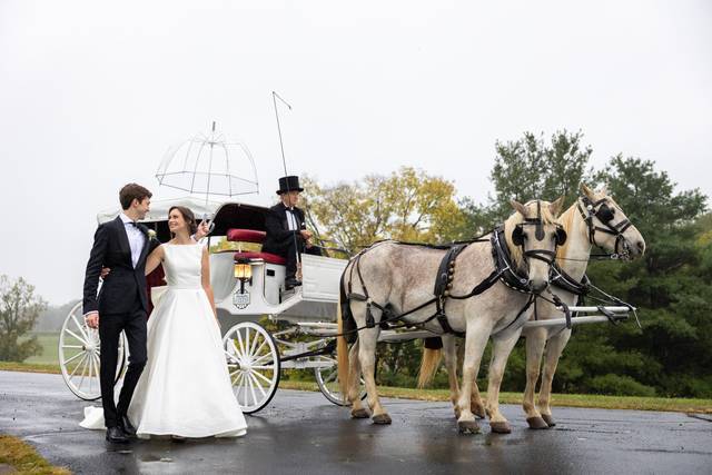 Horse and Carriage