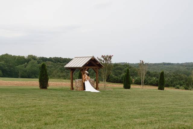 Carla Searcy Photography