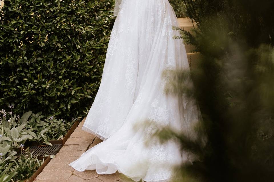 Carla Searcy Photography