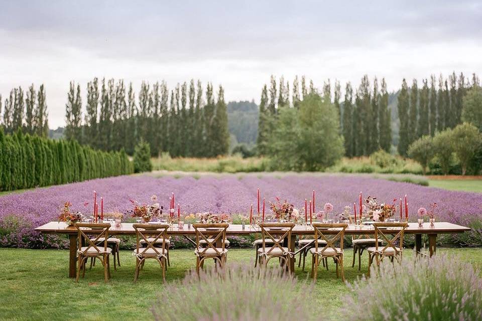 Head table setting