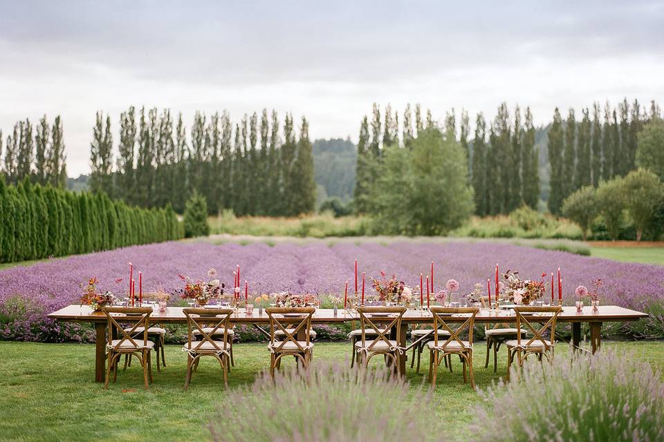 Woodinville Lavender