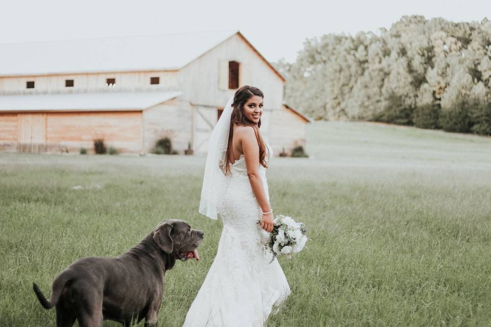 Bride and dog | M. Michael Photography