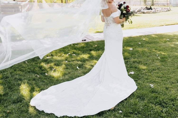 Dress by Pronovias