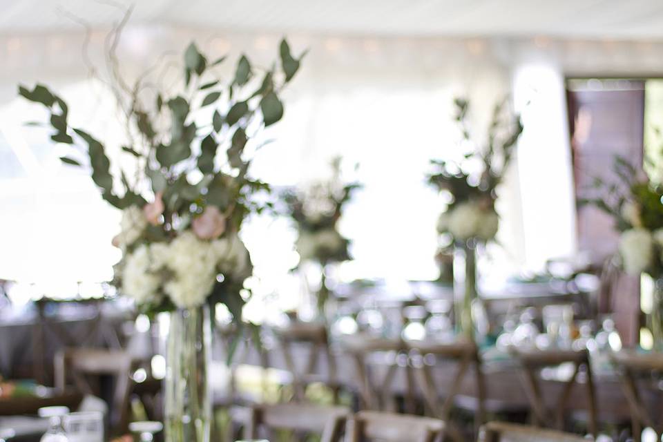 Tent Wedding