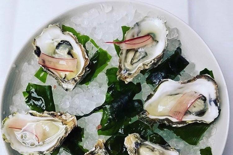 Oysters with radish mignonette