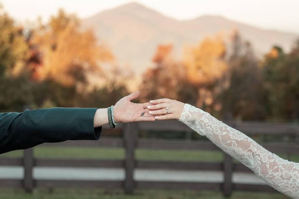 Hands