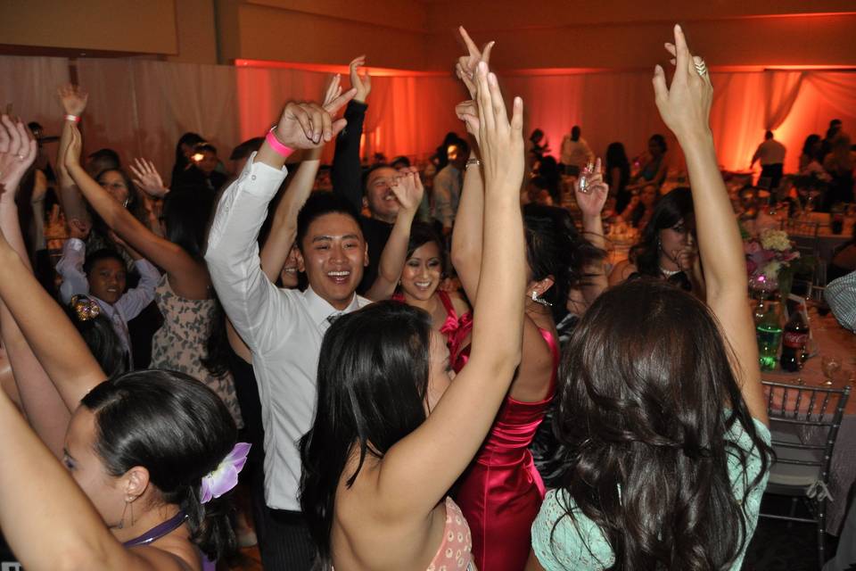 Wedding hands go up