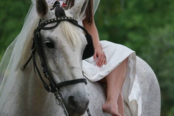 Bride on horse virginia wedding| Whysall Photography