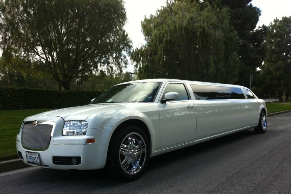 10 passenger Limousine