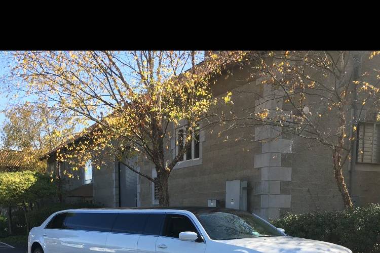 10 passenger Limousine