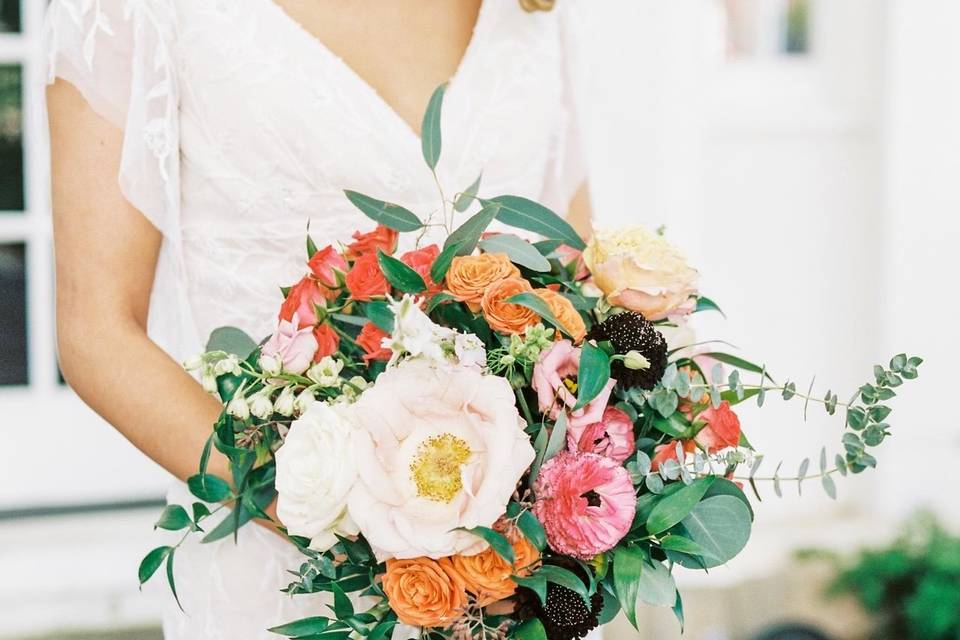 Megan Travis Photography