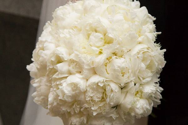 Big ball of white flowers