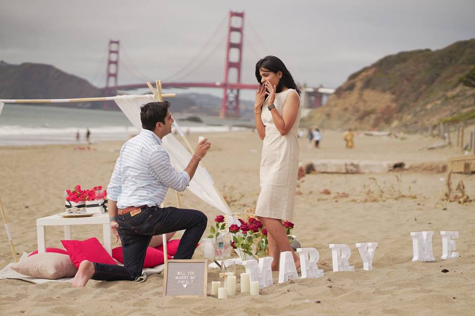 Picnic proposal