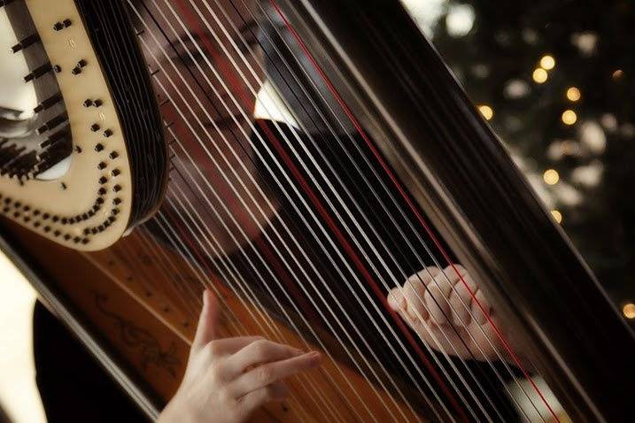 Colorado Harpist Erin Newton