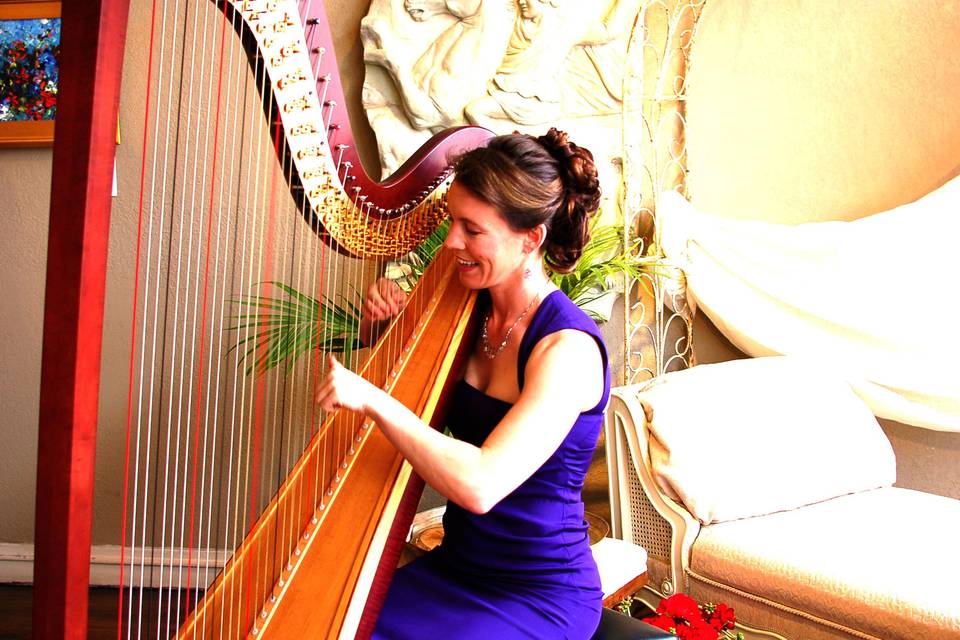 Colorado Harpist Erin Newton