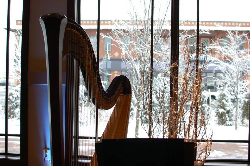 Colorado Harpist Erin Newton