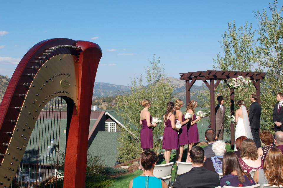 Colorado Harpist Erin Newton