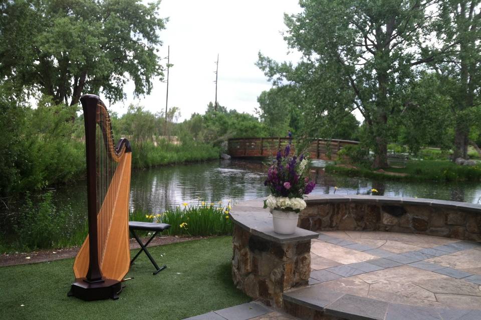 Colorado Harpist Erin Newton