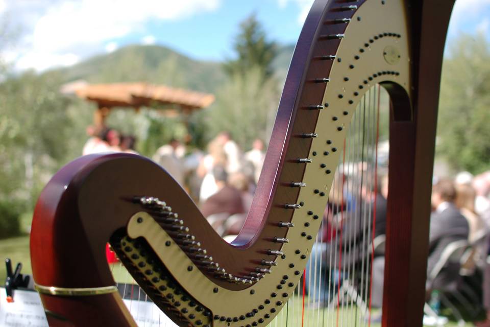 Colorado Harpist Erin Newton