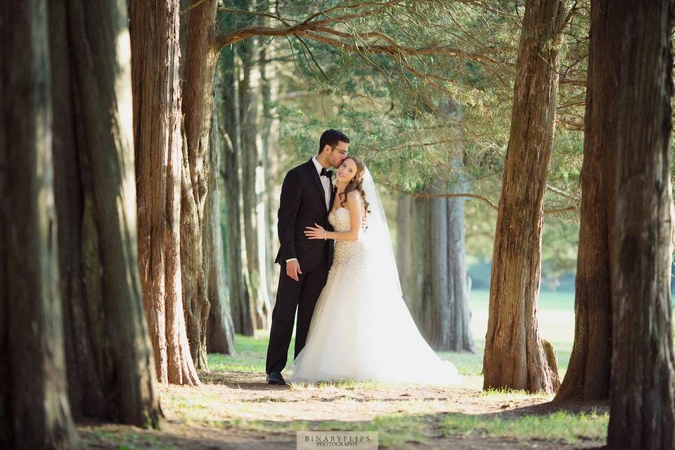 Forest wedding