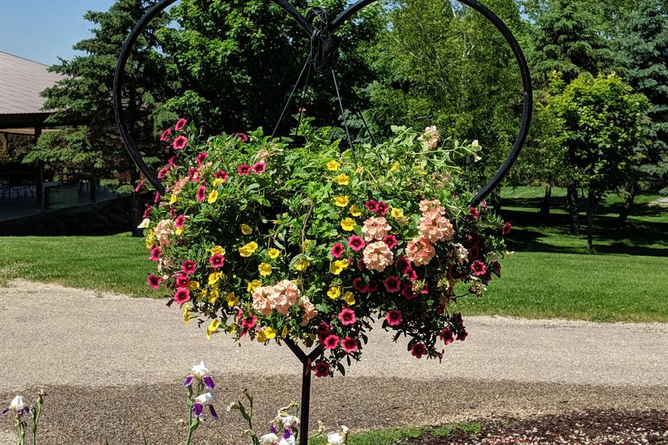 Spring flowers