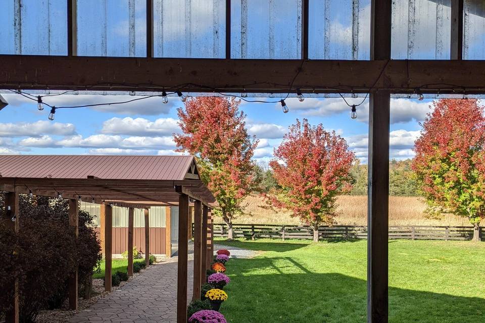 Autumn views