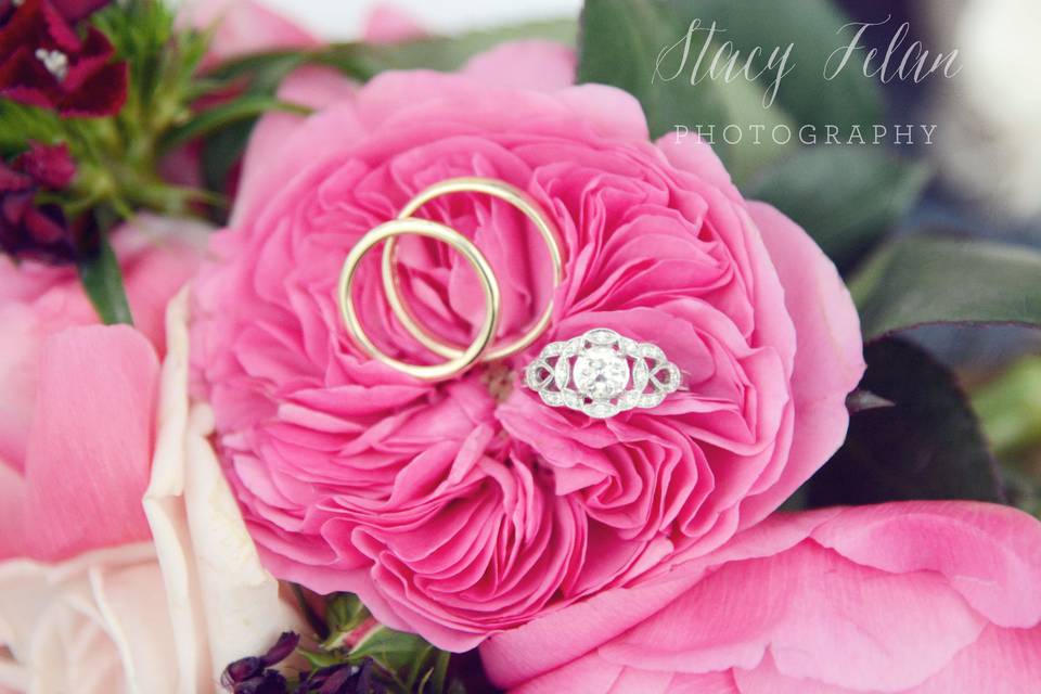 Stacy Felan Photography