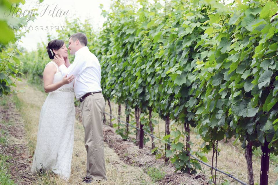 Stacy Felan Photography