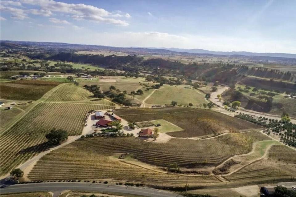 Satellite view of vineyard