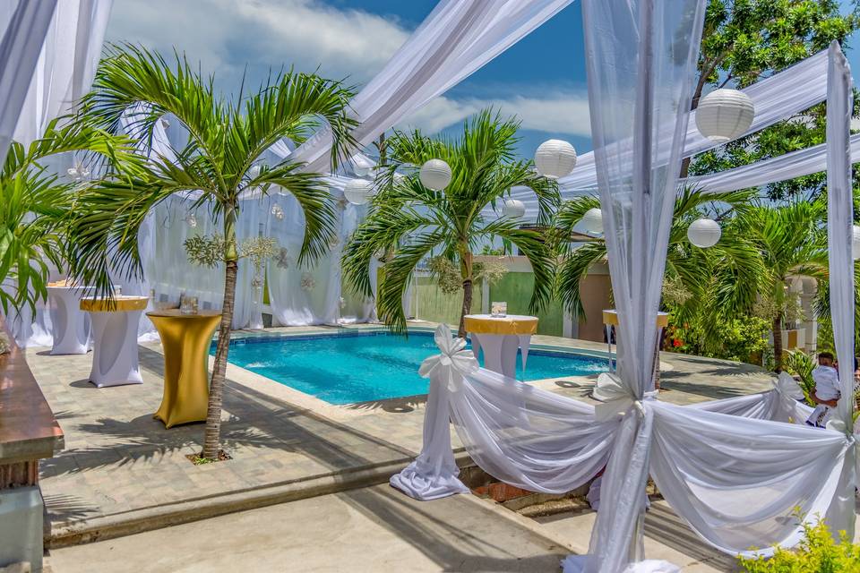 Tropical with Gold Accent Wed