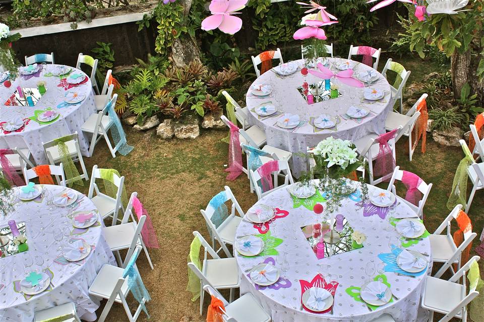 Spring & Butterfly Theme