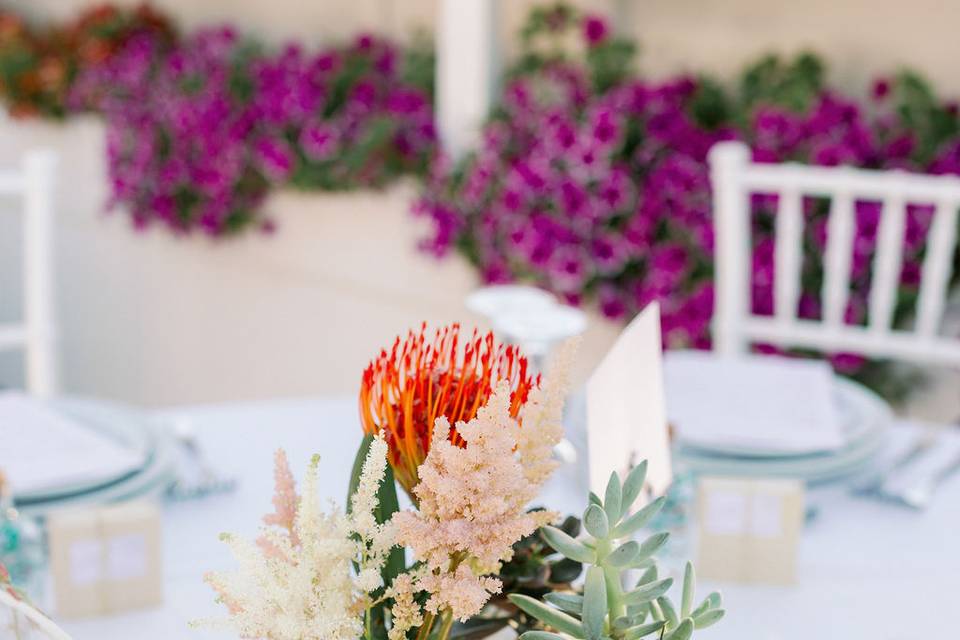 Protea decor