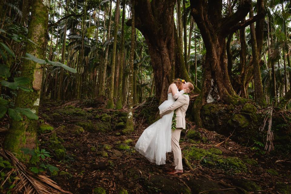 Knots in the Pines Elopement