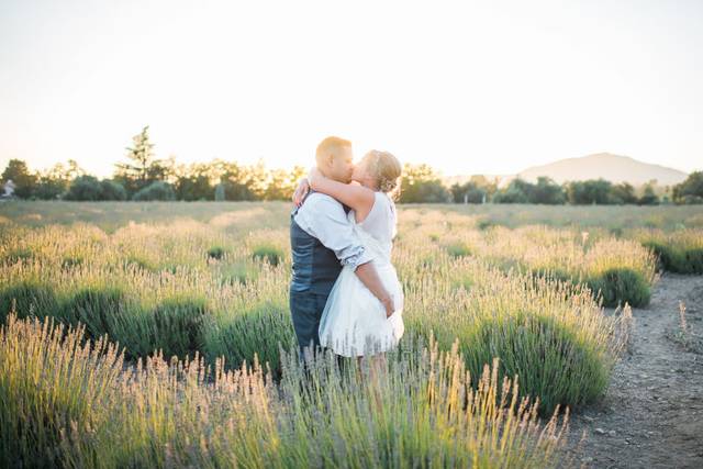 Highland Springs Resort Lavender Field Wedding