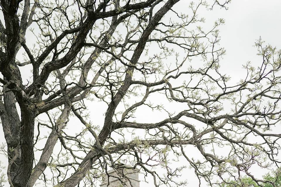 Boerner Botanical Gardens