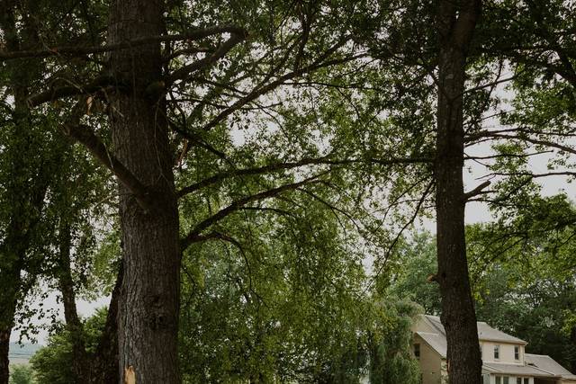 Charming pathways