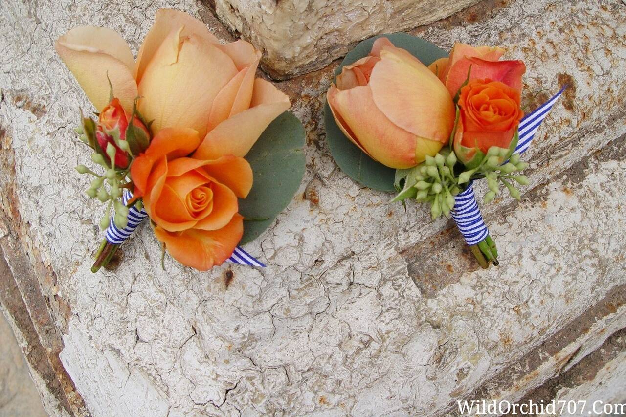 The Wild Orchid - Wedding Florists - Sebastopol, CA - WeddingWire