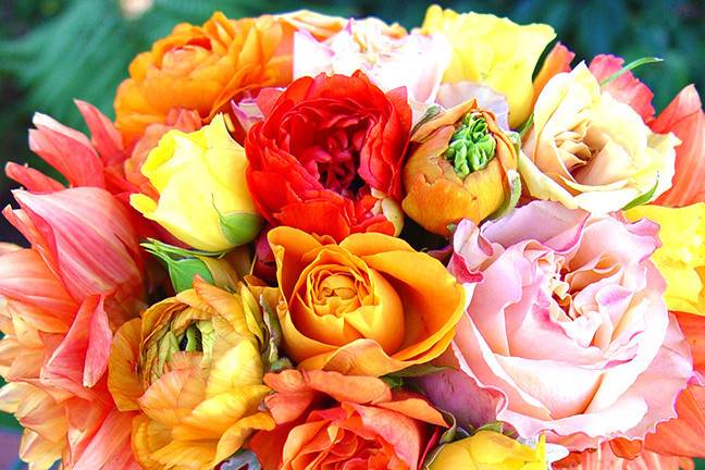 A fun wedding scheme based upon shades of melon. The centerpieces were a mix of ranunculus, dahlias and roses arranged in a vintage mason jar wrapped with burlap. Perfect for a Sonoma County wedding. #wildorchid707 #sebastopolflorist #sonomacountyweddings #sonomaflorist #weddingflowers