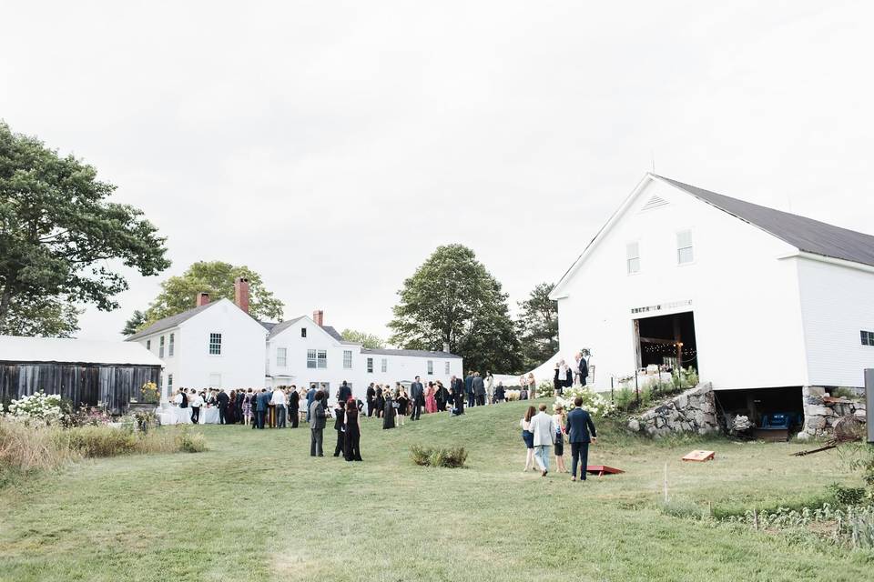 The white barn