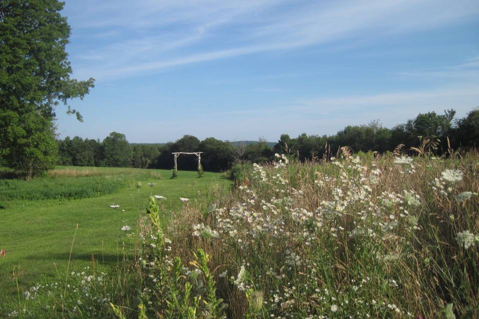 Shady Lane Farm