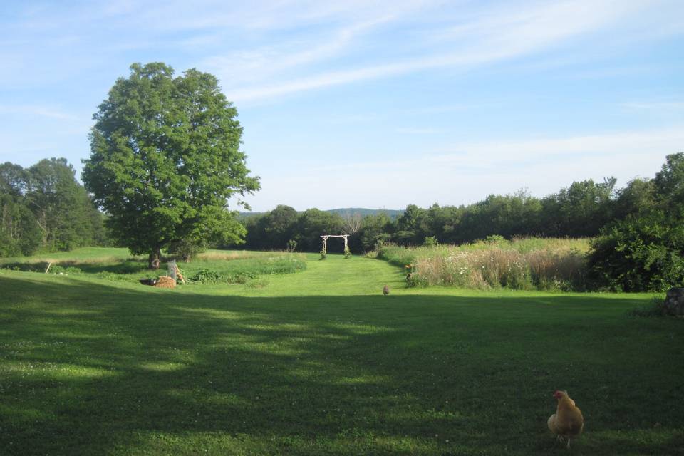 Shady Lane Farm