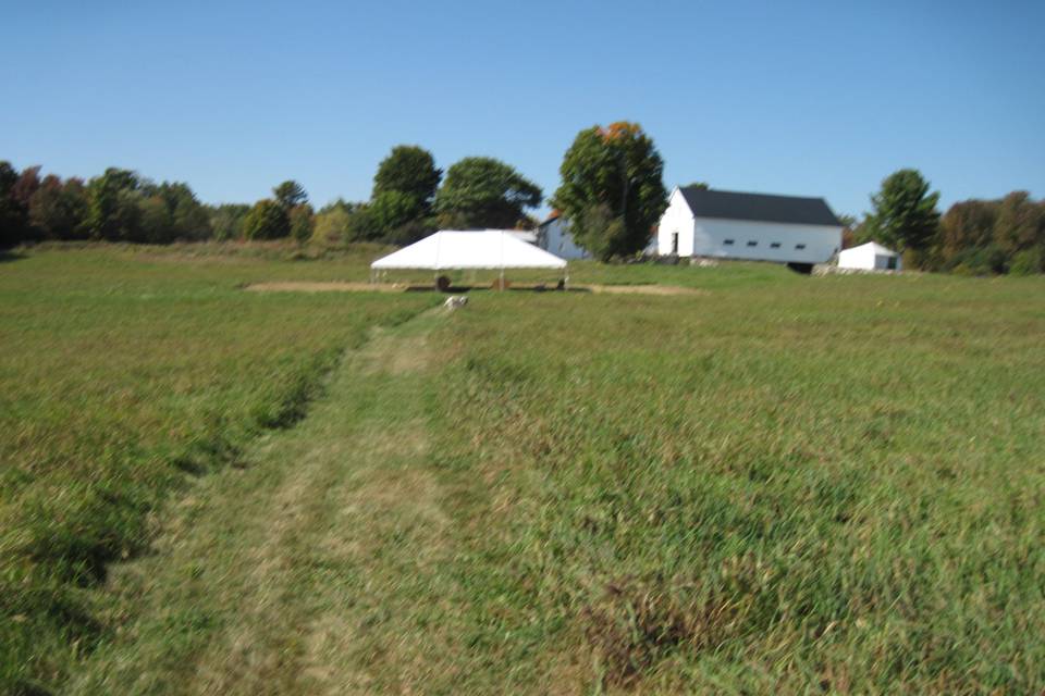 Shady Lane Farm