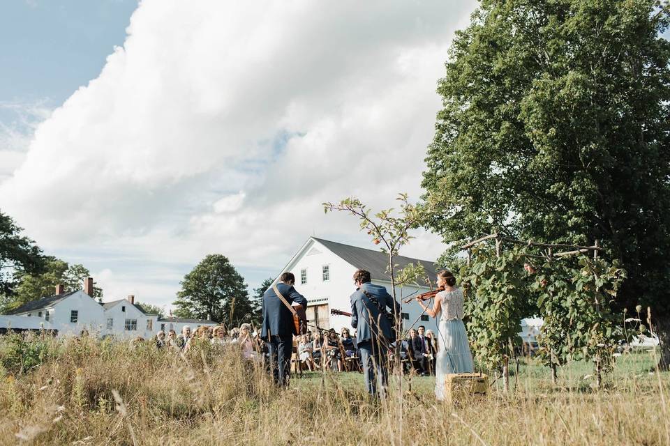 Shady Lane Farm