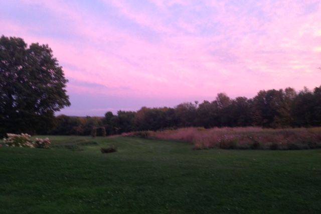 Shady Lane Farm