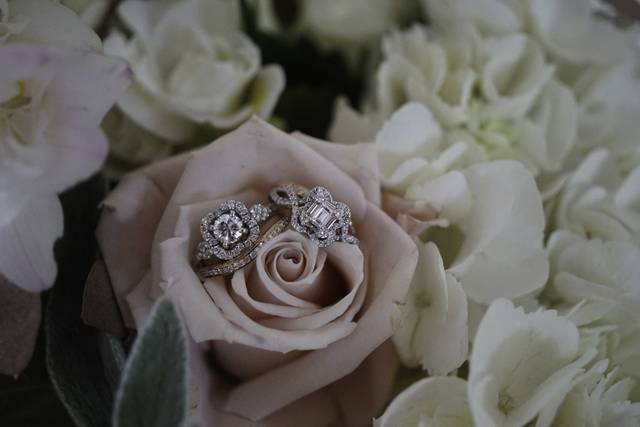 Valerie Betz Photography
