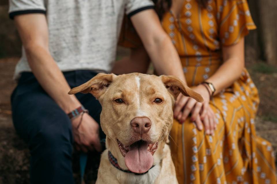 Engagement Session